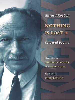 cover image of Nothing is Lost